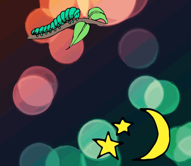 Picture of caterpillar and moon with colorful circles in background.