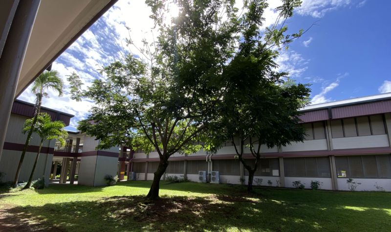 Keonepoko Elementary - Tree in courtyard